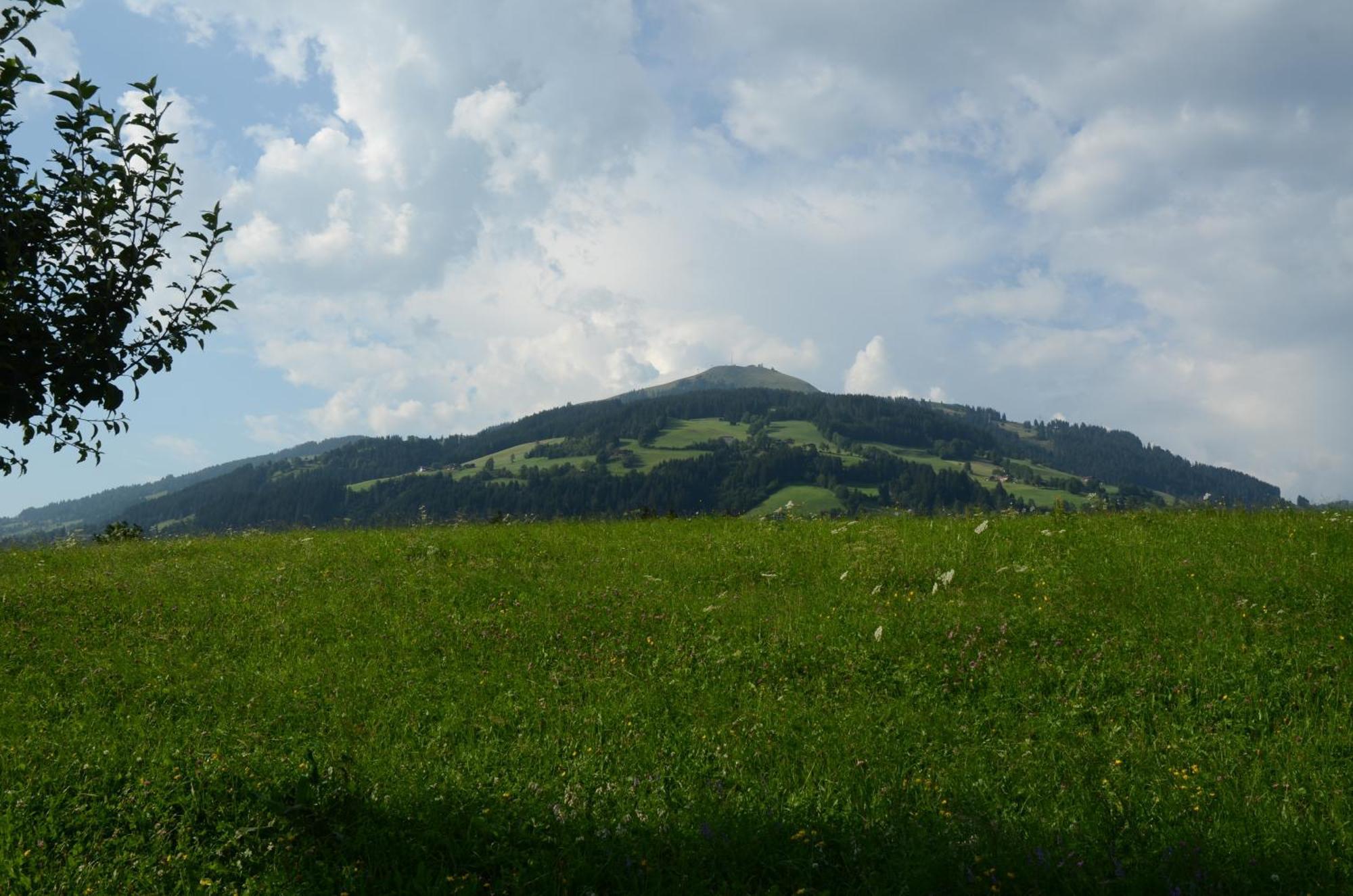 Landhaus Lindner Westendorf Zewnętrze zdjęcie